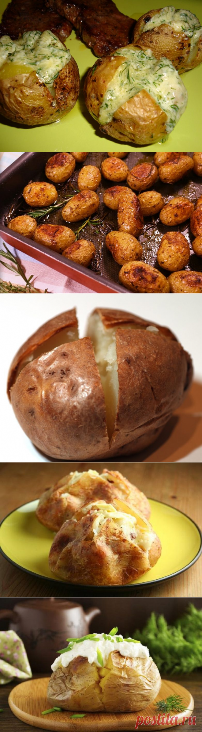 Картофель с сыром, запеченный в духовке