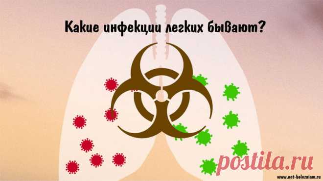 Инфекция легких: виды, причины, признаки и лечение болезни 

За газовый обмен в нашем организме отвечают легкие. Существуют различные угрозы по отношению к ним: паразиты, микроскопические грибы, бактерии и, конечно же, вирусы.

Инфекции на уровне легких часто характеризуются пневмонией (чаще всего пневмококковая).