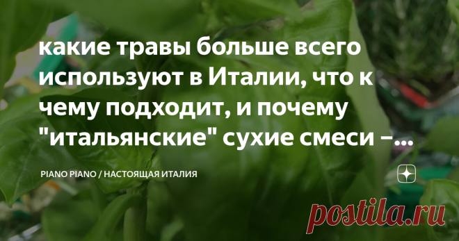 какие травы больше всего используют в Италии, что к чему подходит, и почему 