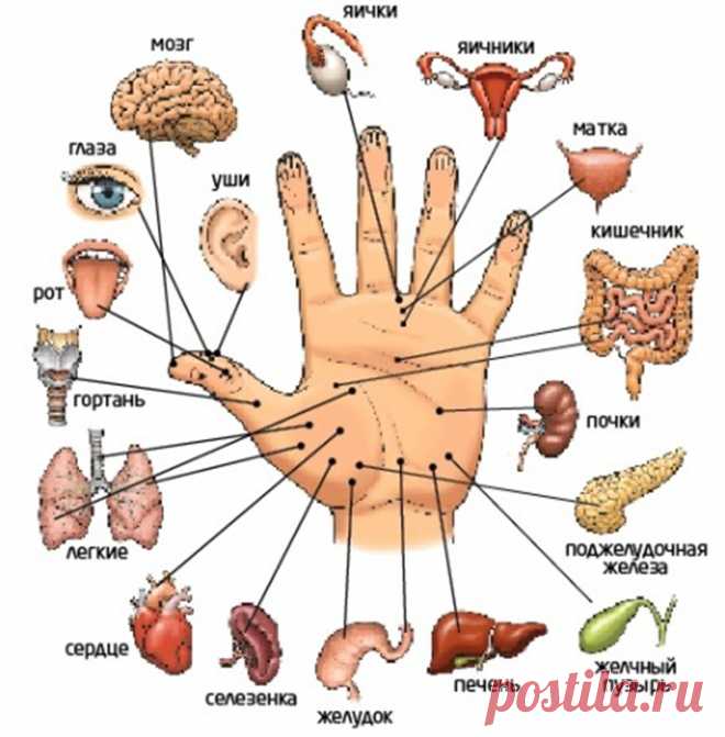 Как Поправить Здоровье Воздействуя На Пальцы Рук