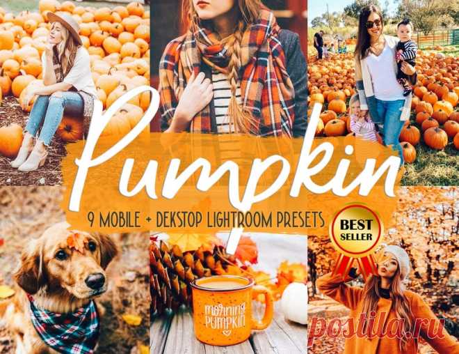 9 Pumpkin presets Mobile presets Fall presets Fall season | Etsy