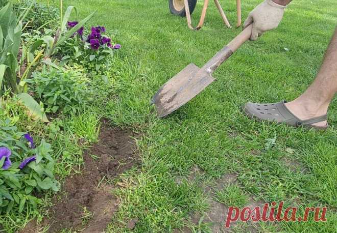 Сделали бесплатное ограждение газона от клумб как в Английских садах. Нужна только лопата и час времени | Юлия 🌸Цвет'ОК🌸 | Дзен