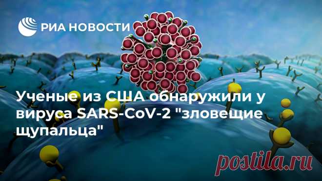 Ученые из США обнаружили у вируса SARS-CoV-2 