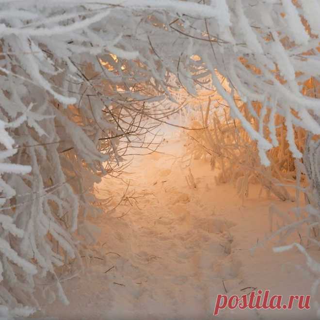 Дорога в сказку. Фото: Александр Гоголин