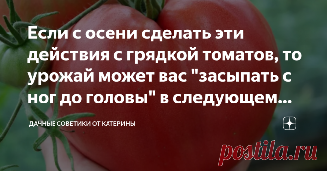 Если с осени сделать эти действия с грядкой томатов, то урожай может вас 