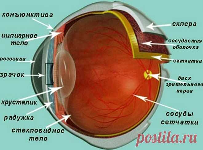 Катаракта, причины и симптомы, лечение, операция и профилактика - Популярная Медицина