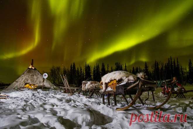 Лучшие фотографии России 2014 года | ФОТО НОВОСТИ