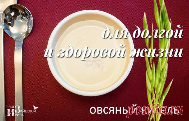 Овсяный кисель. Польза и вред. Рецепты. Противопоказания | Блог Ирины Зайцевой