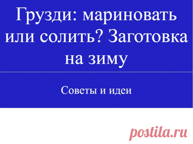 Грузди: мариновать или солить? Заготовка на зиму