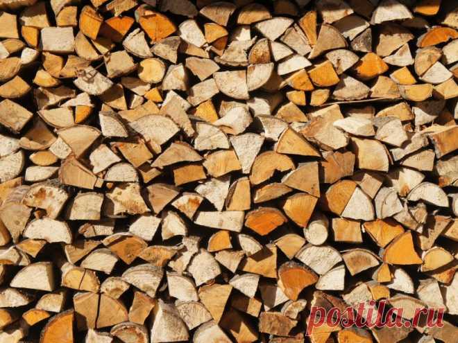 Как заготавливать и хранить дрова Ритмы года Пилить лес нужно зимой, когда в деревьях меньше всего сока. Обезвоженная дре