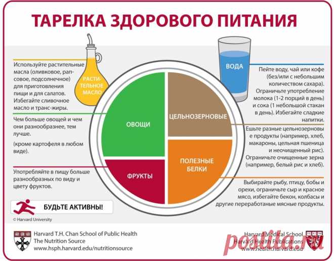 Tарелка Здорового Питания (Russian) Тарелка Здорового Питания, созданная экспертами по питанию Гарвардской школы общественного здравоохранения, это руководство для здорового, сбалансированного питания – на тарелке или в вашей коробк…