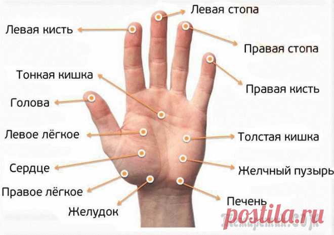 Массаж пальцев рук для снятия боли: точки и техника выполнения