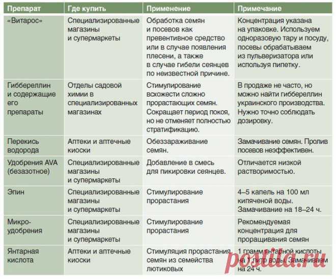 Мария Владимировна