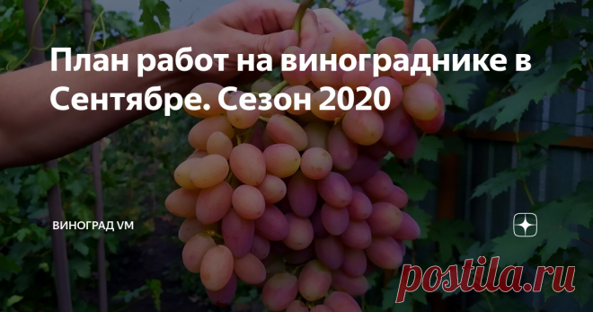 План работ на винограднике в Сентябре. Сезон 2020 В данном выпуске я расскажу Вам о перечне необходимых работ, которые необходимо выполнить в сентябре.
Большинство работ будут пересекаться с работами, которые мы делали в августе месяце, но как говориться, в сентябре существую свои нюансы.