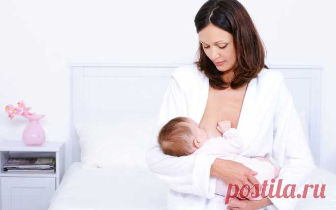 9 фактов, которых вы не знали о грудном молоке - Статьи - 1 месяц - 6 месяцев - Дети Mail.Ru