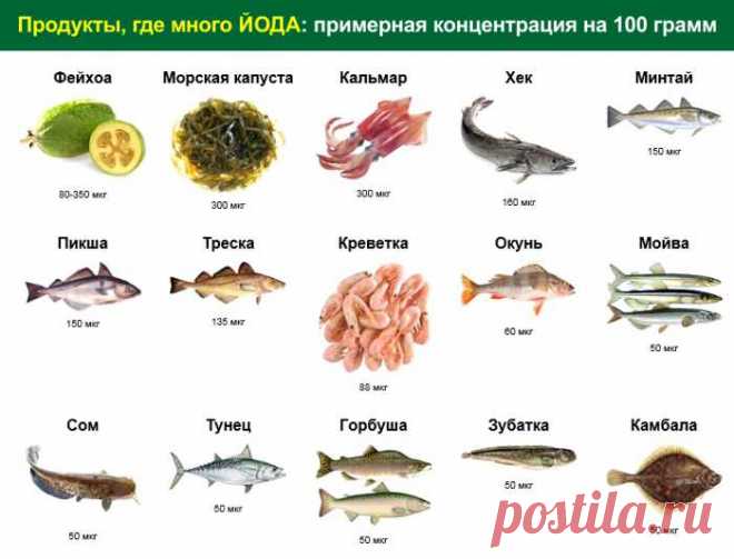 Название: Йод: для чего нужен и в каких продуктах содержится Найдено в Google. Источник: dietdo.ru