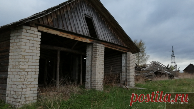 "Хозяин вернись - мне плохо". Написано на развалинах коровника | Хозяйство Воронова | Яндекс Дзен