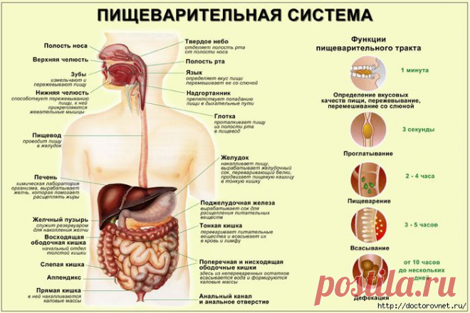 Советы и рецепты для Вашего здоровья