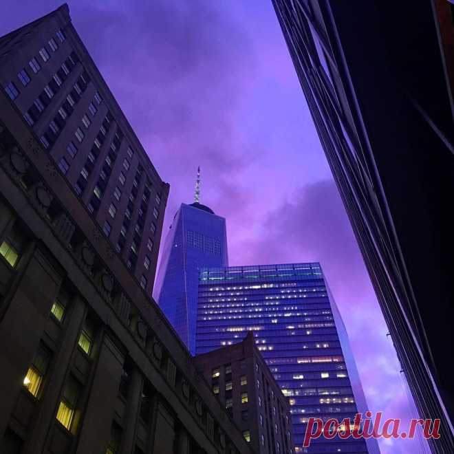 Красивое пурпурное небо над Нью-Йорком - Picturetoday | Picturetoday