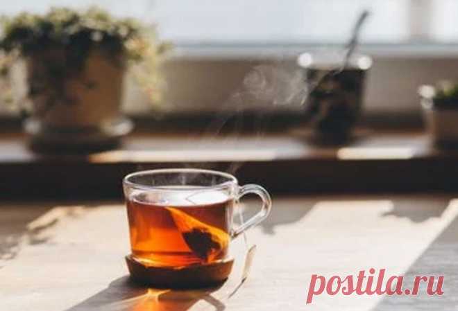В сезон инфекций нужно пить чай с черным перцем Отвечая, почему нужно пить чай с черным перцем, специалисты констатируют: он способствует повышению иммунитета благодаря своим антимикробным и противовоспалительным свойствам. Помимо повышения иммунитета, чай с черным перцем полезен для контроля веса.
