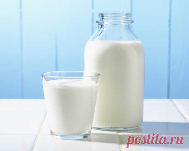 Правила хранения молочных продуктов и яиц — Делимся советами