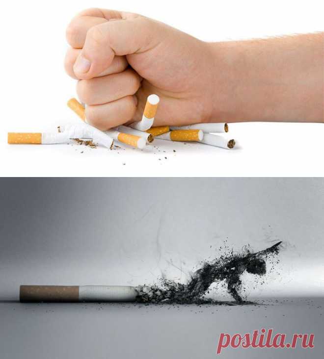 (+1) тема - Народные средства от курения | Среда обитания