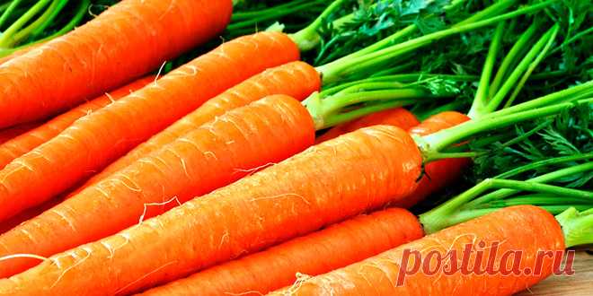 Морковная ботва очистит кишечник