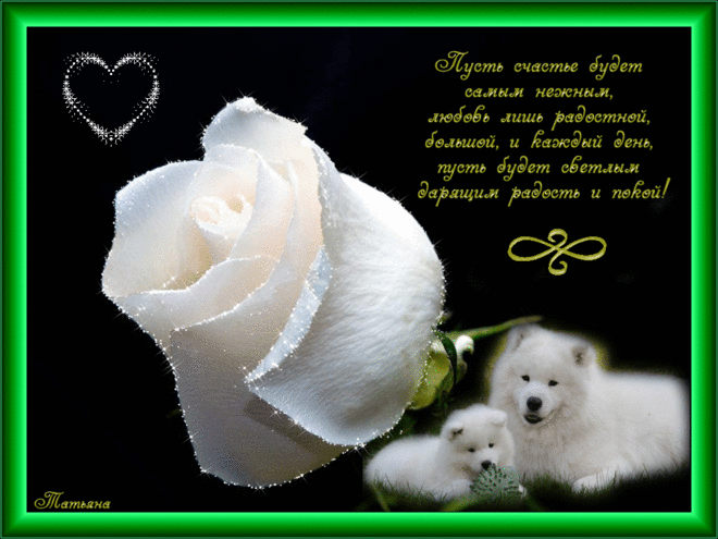 Красивые открытки с белыми розами и стихами. Пожелания счастья. Желаем счастья. Белые розы поздравление. Нежное пожелание другу