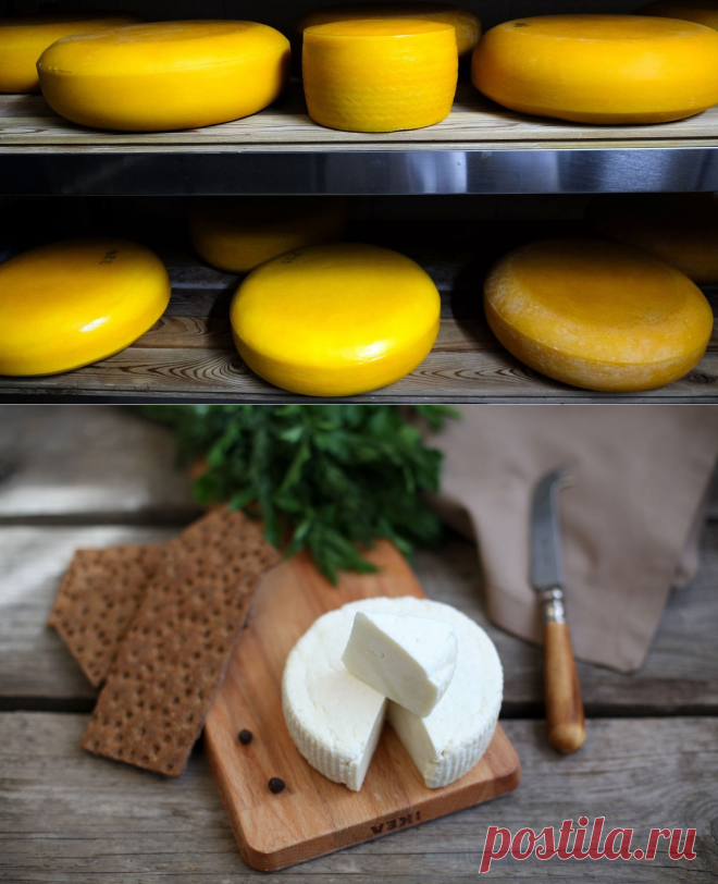 Как сделать адыгейский сыр дома за 1 час - Life