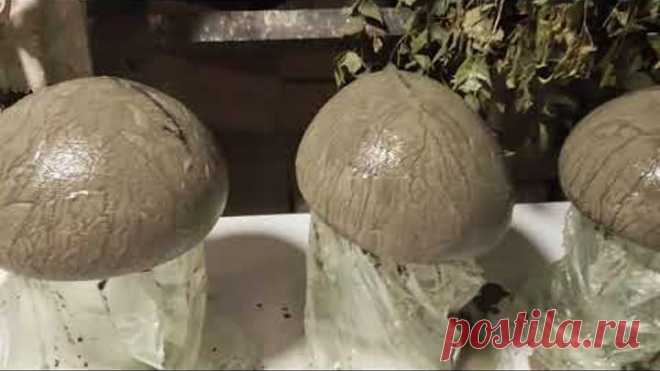 Как сделать декоративные грибы из цемента своими руками
