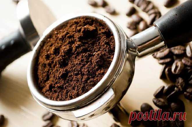 Учимся варить вкусный кофе как профи: 6 лайфхаков для настоящих гурманов