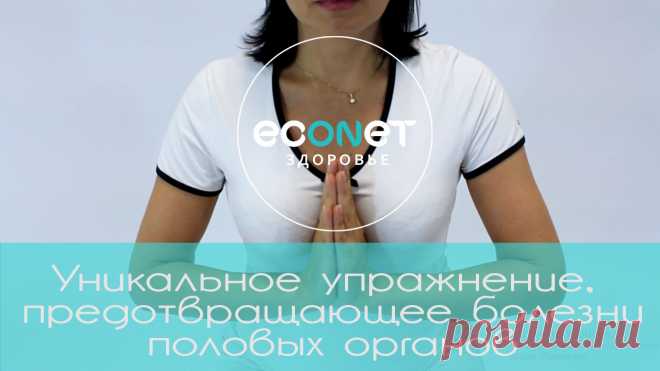 Econet - включи сознание - новости, статьи, видео, события, лайфхаки эконет.ру