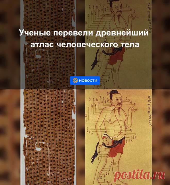 Ученые перевели древнейший атлас человеческого тела - Новости Mail.ru