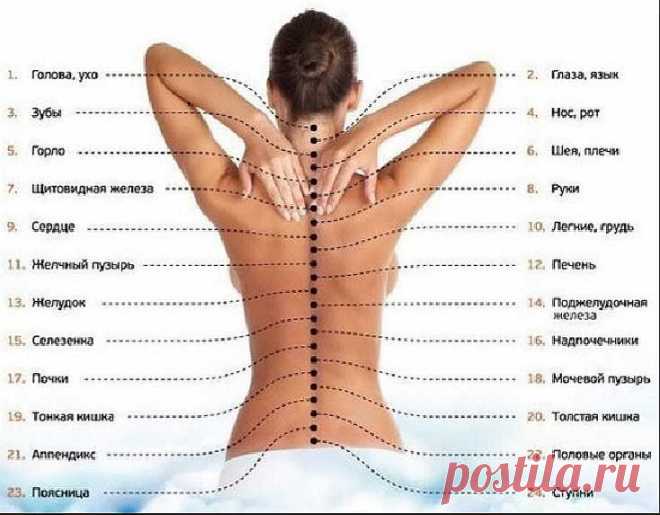 Изменения в позвоночнике нарушают все функции в организме