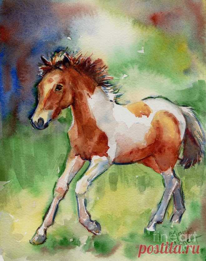 Лошадка красками. Лошадь красками. Лошадь рисунок красками. Жеребенок акварель. Лошадь акварелью.