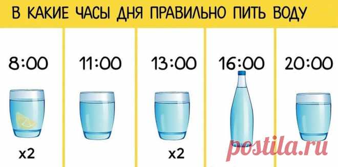 В какие часы дня правильно пить воду! Следуя этим советам, вы улучшите свое состояние здоровья и почувствуете себя действительно здорово.