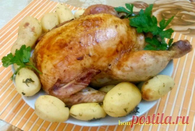 Курица фаршированная яблоками в рукаве. /Сайт с пошаговыми рецептами с фото для тех кто любит готовить