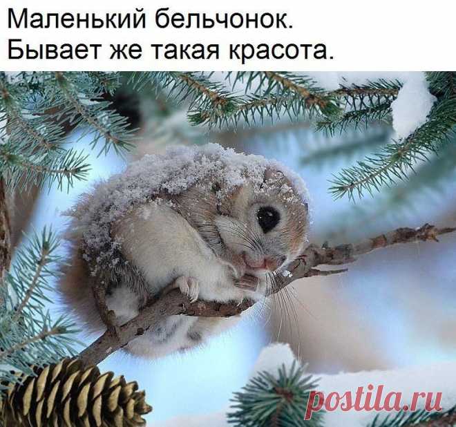 ✿ РОДИТЕЛИ и ПЕДАГОГИ! Наши дети