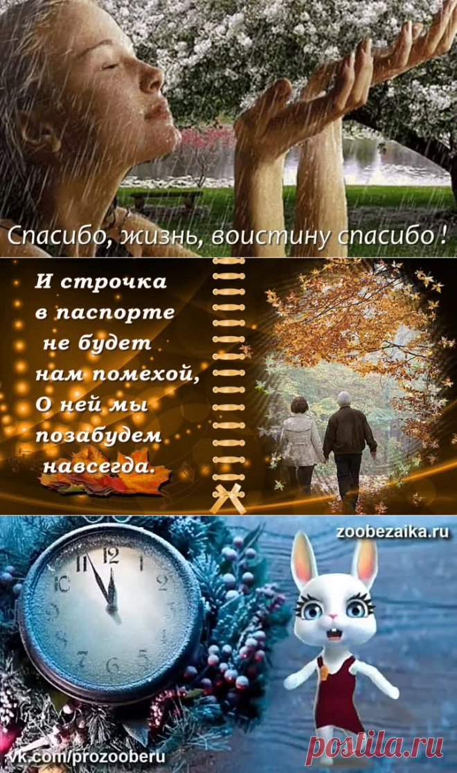 Одноклассники