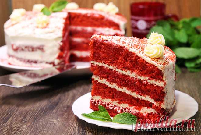 Торт «Красный бархат» рецепт с фото пошагово