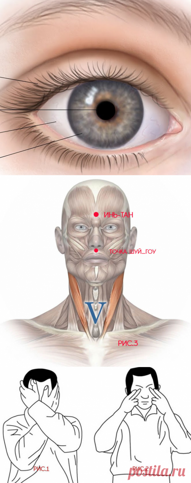 Надавливание на глаза: техника лечения при глаукоме, катаракте и