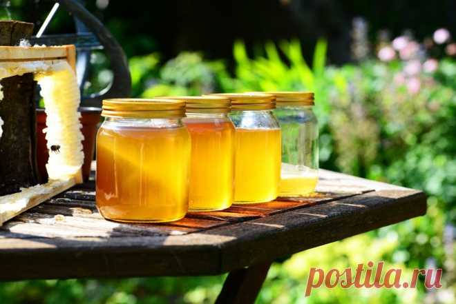 Не только мёд: какие продукты пчеловодства и как используются в медицине