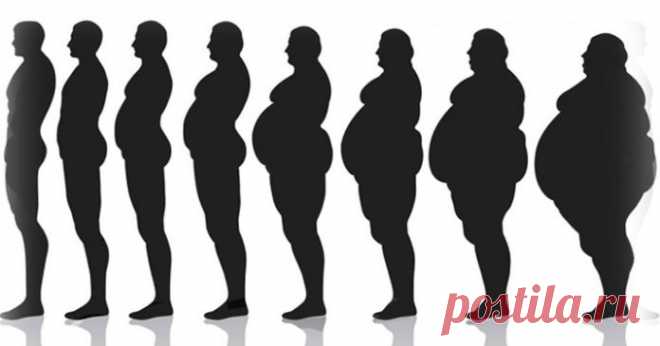 15 продуктов с нулевой калорийностью, которые помогут вам похудеть - Женский журнал 