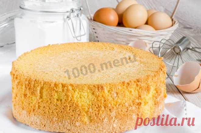 Бисквит классический в духовке рецепт с фото пошагово и видео - 1000.menu