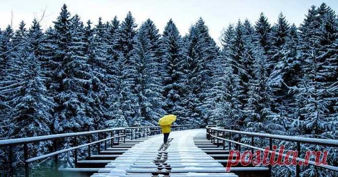 Умиротворяющие зимние пейзажи немецкого фотографа Календарная весна уже наступила, но суровые холода не сдают своих позиций. В первый день марта предлагаем полюбоваться волшебными фотографиями зимней Европы, ведь в снеге и холоде тоже есть свое очаро…
