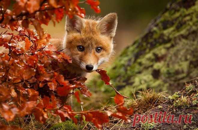 Волшебство уже рядом 🍂🍁🍄