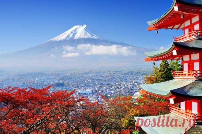 Интересные факты о Японии… | PulsON — все самые интересные события в мире.