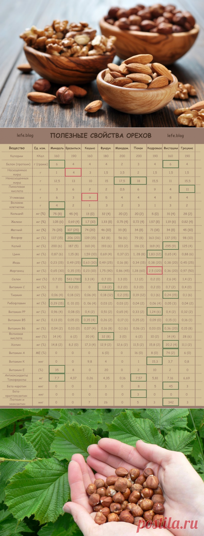 9 самых полезных орехов + таблица содержащихся в них веществ