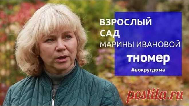 Взрослый сад коллекционера и профессионала Марины Ивановой | #ВокругДома