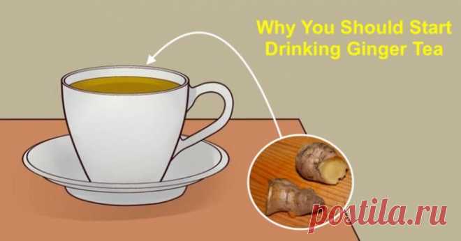 Почему нужно пить чай с имбирем и как правильно его приготовить! - Важное